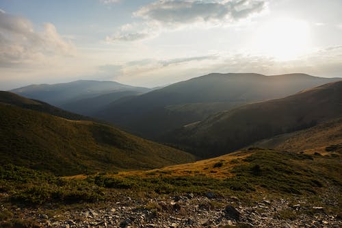 目前什么行业最有发展前景