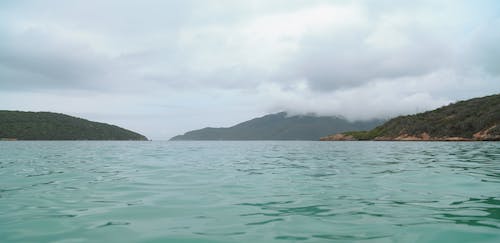 (龙山宅基地出售)宅基地可以出售吗,怎么规定的