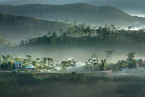 没有学历做什么行业有发展前景