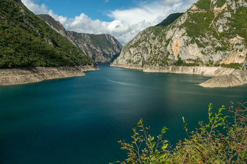 养殖水蛭致富