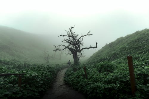 农村发展什么行业有前景