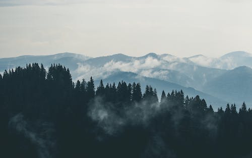 (赚零钱的软件哪一个赚得快一点)除今日头条外，还有哪些赚钱超快的软件？